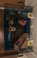 Hamster kooi+ toebehorenen, Dieren en Toebehoren, Knaagdieren en Konijnen | Hokken en Kooien, Minder dan 60 cm, Kooi, Minder dan 75 cm