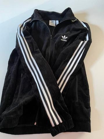Jas - veste  - adidas - velours beschikbaar voor biedingen