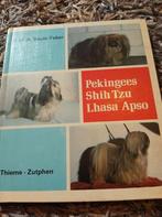 Pekinees Shih Tzu Lhasa apso., Ophalen of Verzenden