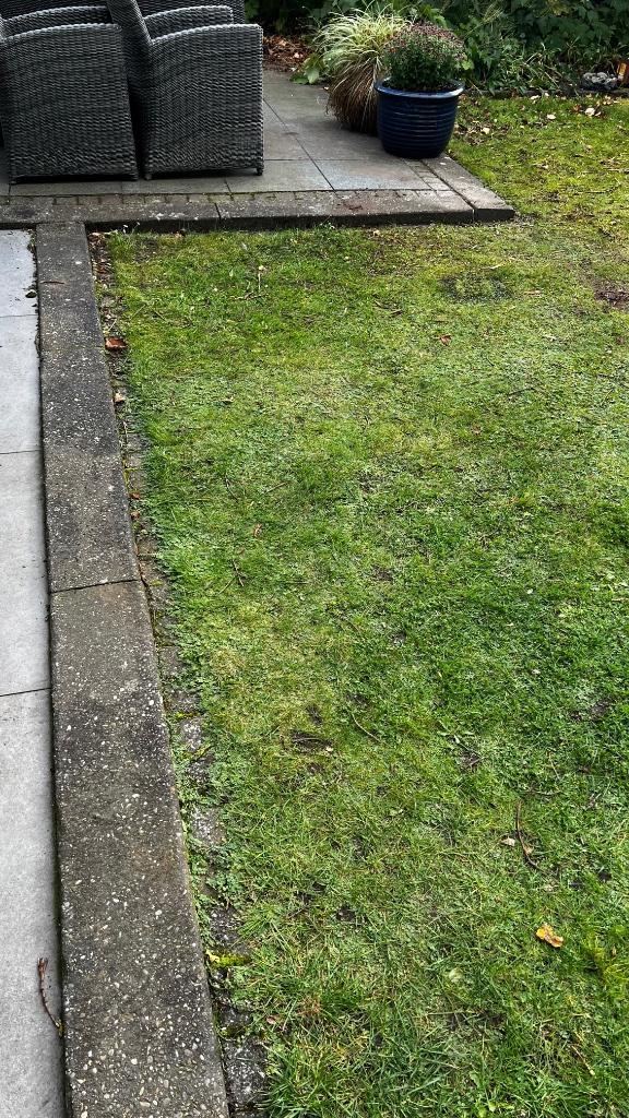 Betonnen bielzen en koppelstones, Tuin en Terras, Bielzen en Borders, Gebruikt, Biels, Beton, Minder dan 25 cm, 100 tot 200 cm