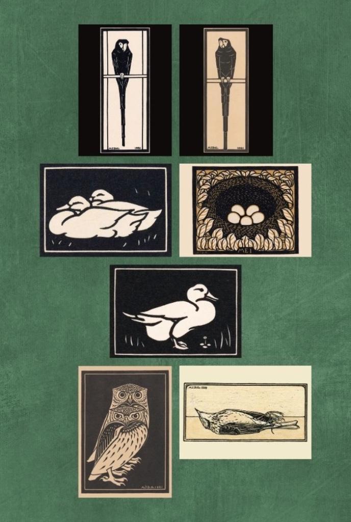 Vogels – Julie de Graag – set van 7 kaarten A4, Huis en Inrichting, Woonaccessoires | Schilderijen, Tekeningen en Foto's, Nieuw