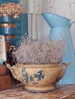 Schitterende zwaar beboterde terrine., Ophalen of Verzenden