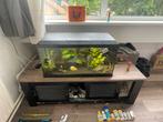 Mooie 110 liter bak!! Geen krasje te vinden!, Dieren en Toebehoren, Ophalen of Verzenden, Zo goed als nieuw, Leeg aquarium