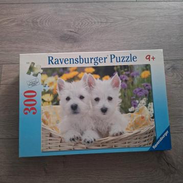 Ravensburger puzzel 300 stukjes West Highland Terriërs beschikbaar voor biedingen