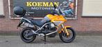 MOTO GUZZI STELVIO ABS 1200 8V (bj 2010) cardan grote beurt, Motoren, Motoren | Moto Guzzi, 2 cilinders, Bedrijf, 1151 cc, Meer dan 35 kW