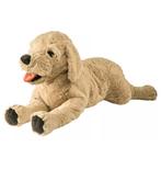 Hond knuffel - 70cm, Ophalen of Verzenden, Zo goed als nieuw, Hond