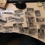 Kahlers  en Boersma's thee plaatjes leeuwen,tijgers Napoleon, Verzenden, Nieuw, Meerdere plaatjes