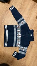 Gevoerde ski trui aangeboden maat 116, Kinderen en Baby's, Kinderkleding | Maat 116, Ophalen of Verzenden, Zo goed als nieuw, Trui of Vest
