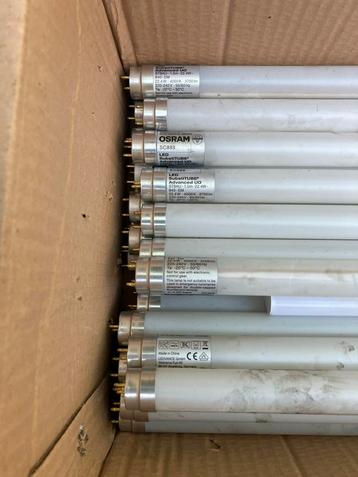 Osram SC888 - 50 stuks beschikbaar voor biedingen