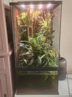 Paludarium / terrarium / aquarium / vivarium ZooMed, Dieren en Toebehoren, Vissen | Aquaria en Toebehoren, Ophalen, Zo goed als nieuw