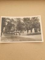 Zuidlaren., Ophalen of Verzenden