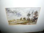 aquarel bos landschap Ton Pape 26x21cm (13x9) XS1, Ophalen of Verzenden