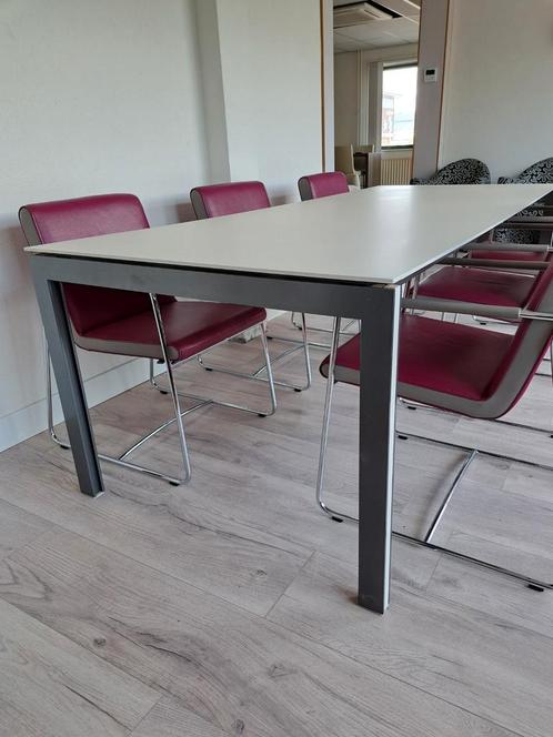 Leolux Cameleon eettafel 2.40 m. x 1.00 m., Huis en Inrichting, Tafels | Eettafels, Gebruikt, 50 tot 100 cm, 200 cm of meer, Vijf personen of meer