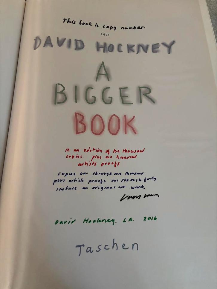 David Hockney -Sumo/Taschen boek, Boeken, Kunst en Cultuur | Beeldend, Zo goed als nieuw, Ophalen