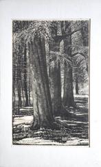 Jan Veringa houtsnede "Bos Impressie", gesigneerd, Ophalen