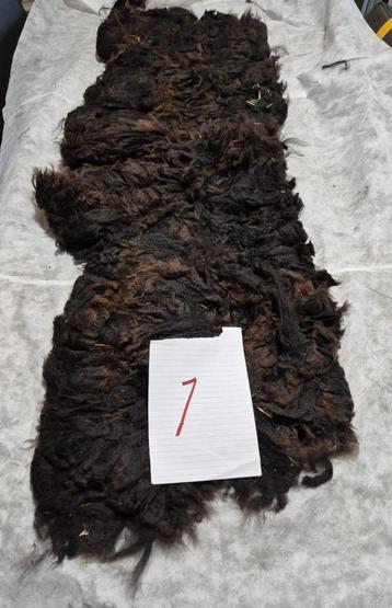 Alpaca wol beschikbaar voor biedingen