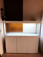 Juwel Rio 450 Met Kast Compleet Set, Dieren en Toebehoren, Ophalen, Zo goed als nieuw, Leeg aquarium