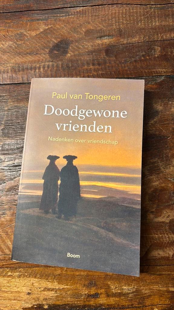 Paul van Tongeren - Doodgewone vrienden, Boeken, Filosofie, Zo goed als nieuw, Ophalen of Verzenden
