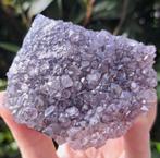 Prachtige Amethist cluster edelsteen verzameling mineralen, Verzamelen, Ophalen of Verzenden