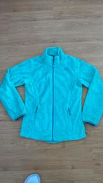 North face fleece vest, Ophalen of Verzenden, Zo goed als nieuw, Trui of Vest