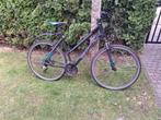 Cube Curve Mountainbike / Gravelbike, Fietsen en Brommers, Gebruikt, Hardtail, Heren, 53 tot 57 cm