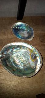 Abalone Schelpen Set, Huis en Inrichting, Woonaccessoires | Schalen en Manden, Ophalen