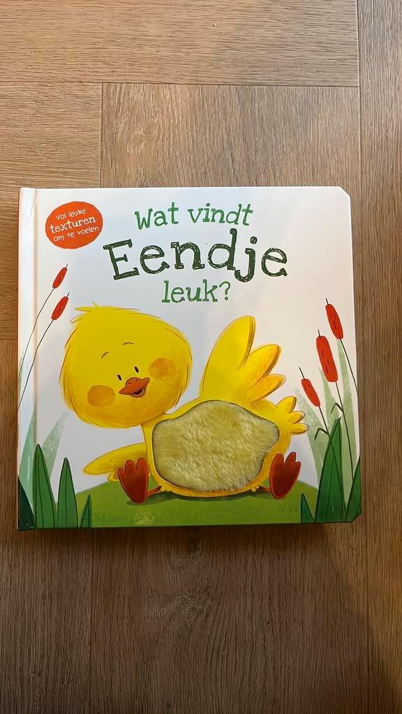 Daniel Mills - Wat vindt eendje leuk?, Boeken, Kinderboeken | Baby's en Peuters, Zo goed als nieuw, 3 tot 4 jaar, Ophalen of Verzenden
