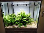 Aqualantis aquarium, Dieren en Toebehoren, Vissen | Aquaria en Toebehoren, Ophalen, Zo goed als nieuw, Leeg aquarium