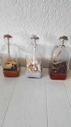 3 Nieuwe Olielampen - Sierobjecten, Ophalen of Verzenden