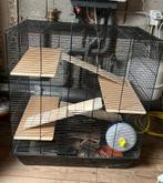 Hamster kooi met toebehoren, Dieren en Toebehoren, Knaagdieren en Konijnen | Hokken en Kooien, 60 tot 90 cm, Kooi, Minder dan 75 cm