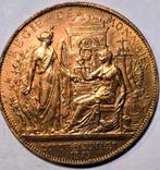 Zeldzame Franse Penning 1879  honderdste verjaardag, Ophalen of Verzenden, Vóór koninkrijk, Overige waardes, Losse munt