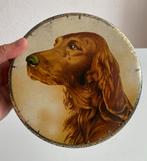 Blik hond, Ierse Setter, Ophalen, Gebruikt, Overige
