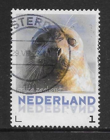 Persoonlijke, Zoogdieren, Grijze Zeehond (K1824) beschikbaar voor biedingen