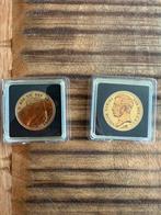 Vergulde 10Gulden munten, Postzegels en Munten, Munten | Nederland, Ophalen of Verzenden, Koningin Beatrix, Euro's