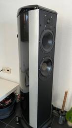 Top speakers Wilson Benesch ACT One, Audio, Tv en Foto, Luidsprekers, Ophalen, Zo goed als nieuw, Front, Rear of Stereo speakers