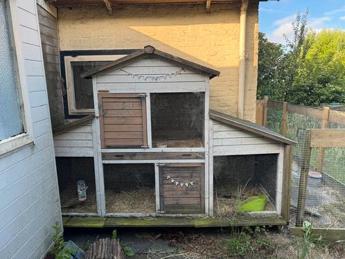 Groot konijnenhok Annemieke XL op wielen + optionele ren, Dieren en Toebehoren, Pluimvee | Toebehoren, Zo goed als nieuw, Kippenhok of Kippenren