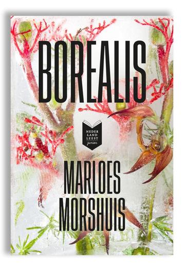 Borealis.Marloes Morshuis uit 2019 beschikbaar voor biedingen
