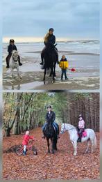 Super! Friese stermerrie/ 1jarige New Forest D pony merrie, Merrie, 160 tot 165 cm, Dressuurpaard, Met stamboom