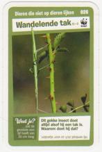 Super dieren no.26 Wandelende tak [2689]  [VeOvSu], Albert Heijn, Ophalen of Verzenden