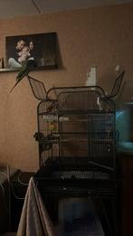 Papegaaienkooi, Dieren en Toebehoren, Vogels | Hokken en Kooien, Ophalen, Gebruikt, Metaal, Vogelkooi