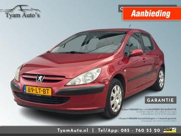Peugeot 307 1.6-16V XS 5-DEURS *APK 04-2026* AIRCONDITIONING beschikbaar voor biedingen