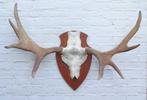 SCANDINAVISCH ELAND GEWEI OP HOUTEN SCHILD (ref. O)