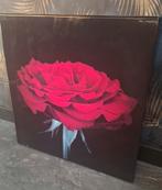 2 Mooie lijsten, Ophalen, Minder dan 50 cm, Gebruikt, Minder dan 50 cm