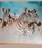 Schilderij zebra's 18 bij 18 cm, Huis en Inrichting, Woonaccessoires | Schilderijen, Tekeningen en Foto's, Minder dan 50 cm, Minder dan 50 cm