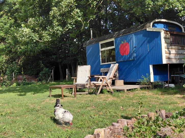 pipowagen, Doe-het-zelf en Verbouw, Bouwketen en Schaftketen, Gebruikt, Ophalen