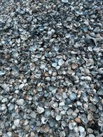 Schelpen in bigbag, Tuin en Terras, Grind, Keien en Split, Ophalen, Nieuw, Overige materialen, Overige typen