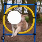 Hondentraining agility springring, Ophalen, Zo goed als nieuw