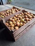 stoofperen gieser wildeman, Ophalen