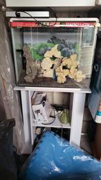 80 liter aquarium met onderkast, Dieren en Toebehoren, Vissen | Aquaria en Toebehoren, Ophalen, Leeg aquarium