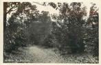 (301-304-013) Renkum Bos Keijenberg, Verzamelen, Verzenden, Gelderland